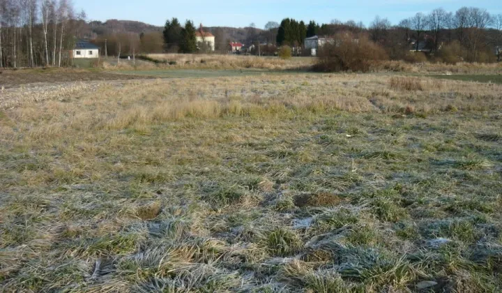 Działka rolna Bachórz