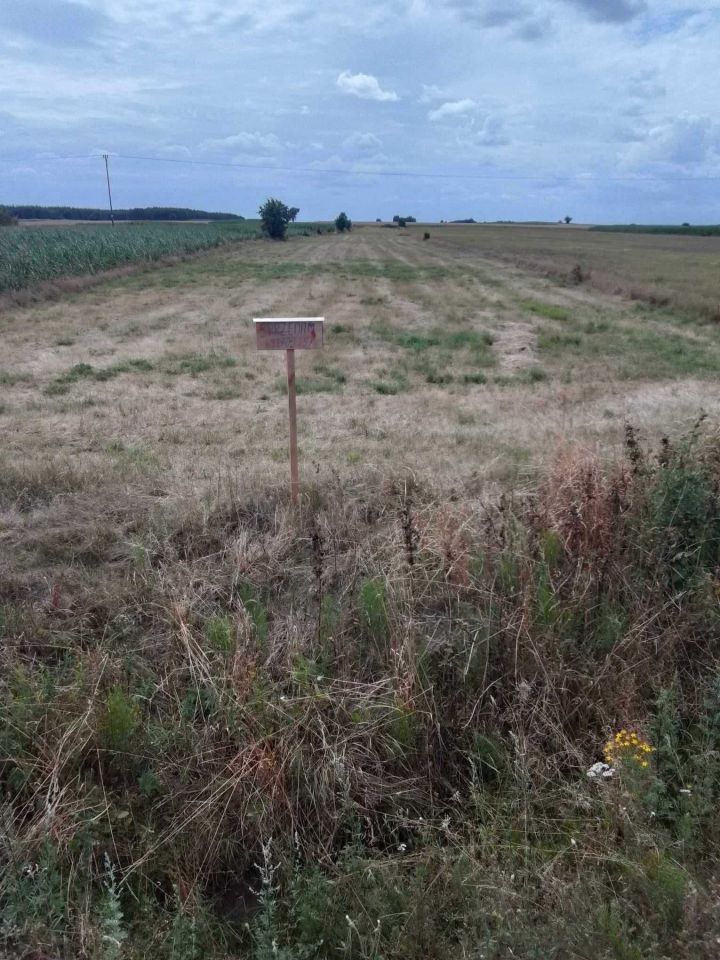 Działka rolno-budowlana Janowo, ul. Mławska. Zdjęcie 2