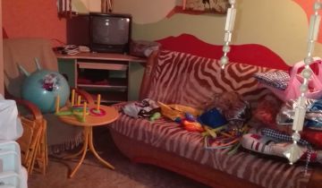 Działka rod Katowice Koszutka, ul. Brzozowa