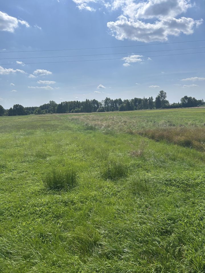 Działka rolna Wola Załężna. Zdjęcie 2