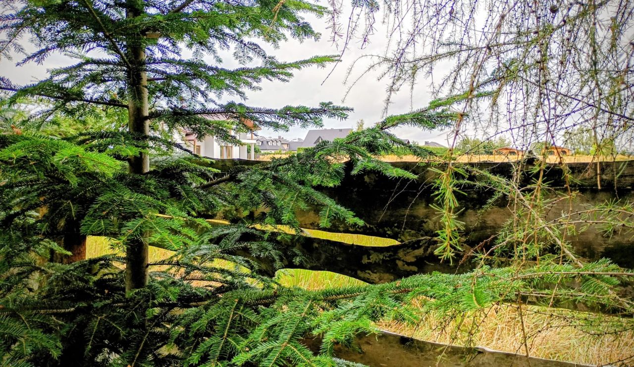 Działka budowlana Firlej, ul. Serocka. Zdjęcie 12