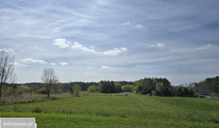 Działka budowlana Kotórz Mały, ul. Sosnowa
