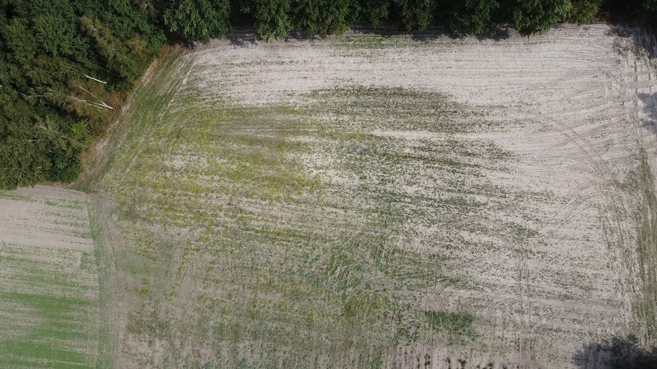 Działka rolna Wielkopole. Zdjęcie 14