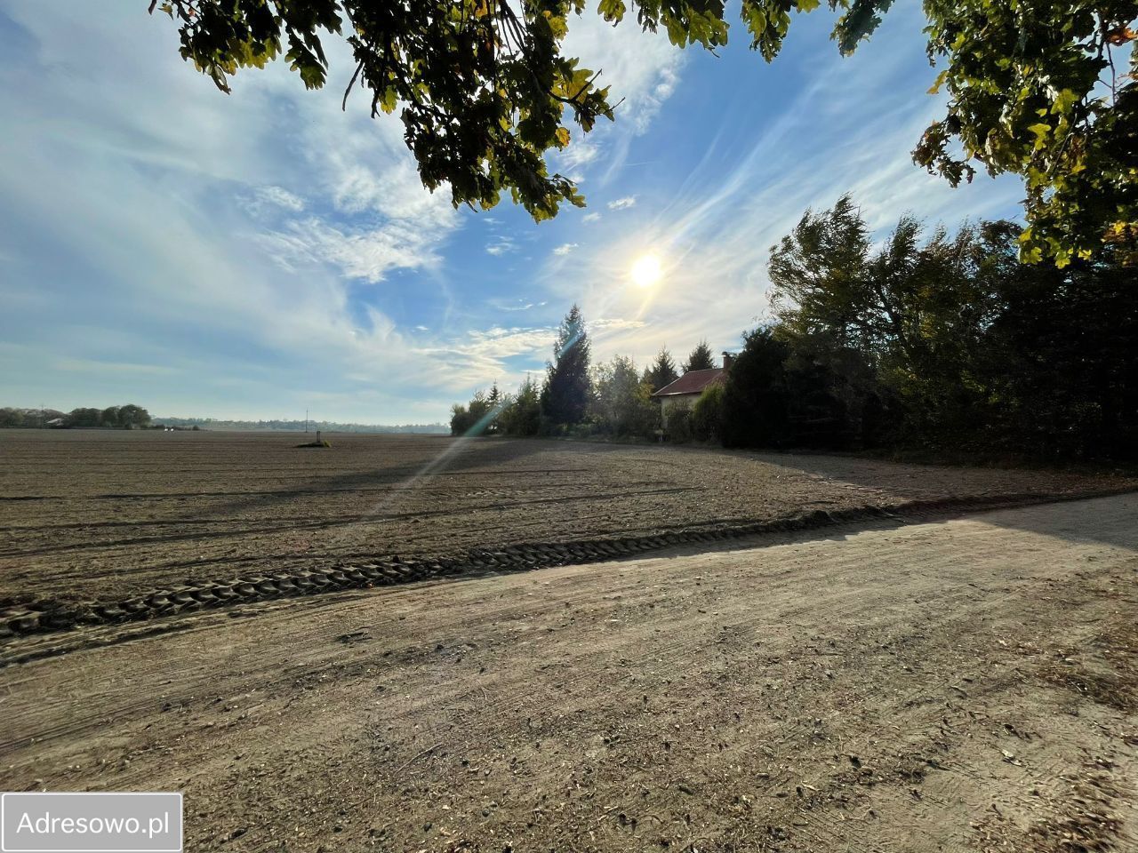 Działka budowlana Promienko Wiktorówka, ul. Tawułowa. Zdjęcie 8