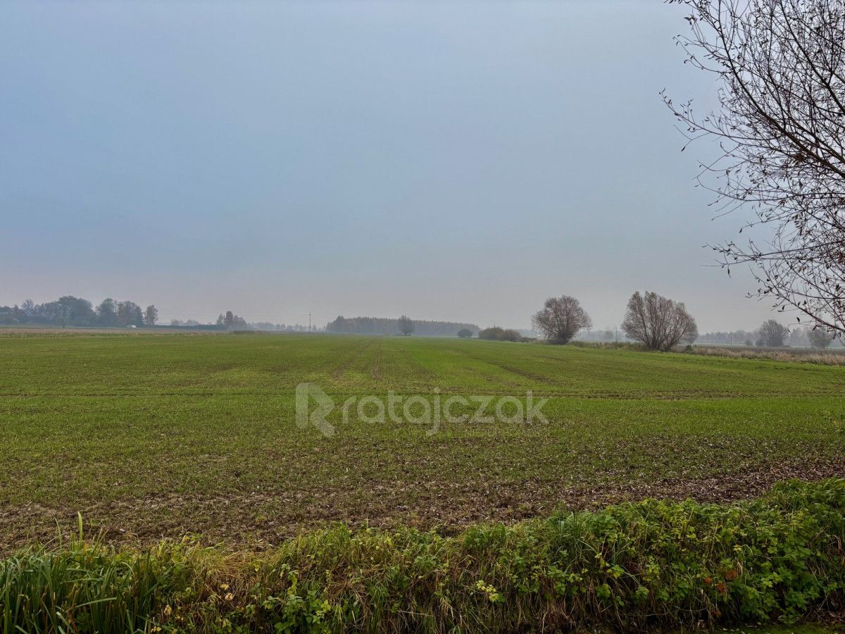 Działka budowlana Drewnica, ul. Wierzbowa. Zdjęcie 3