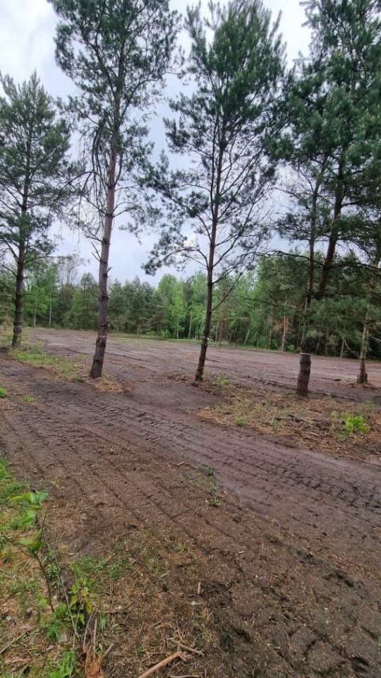 Działka budowlana Krzaki Czaplinkowskie, ul. Wrzosowa. Zdjęcie 4