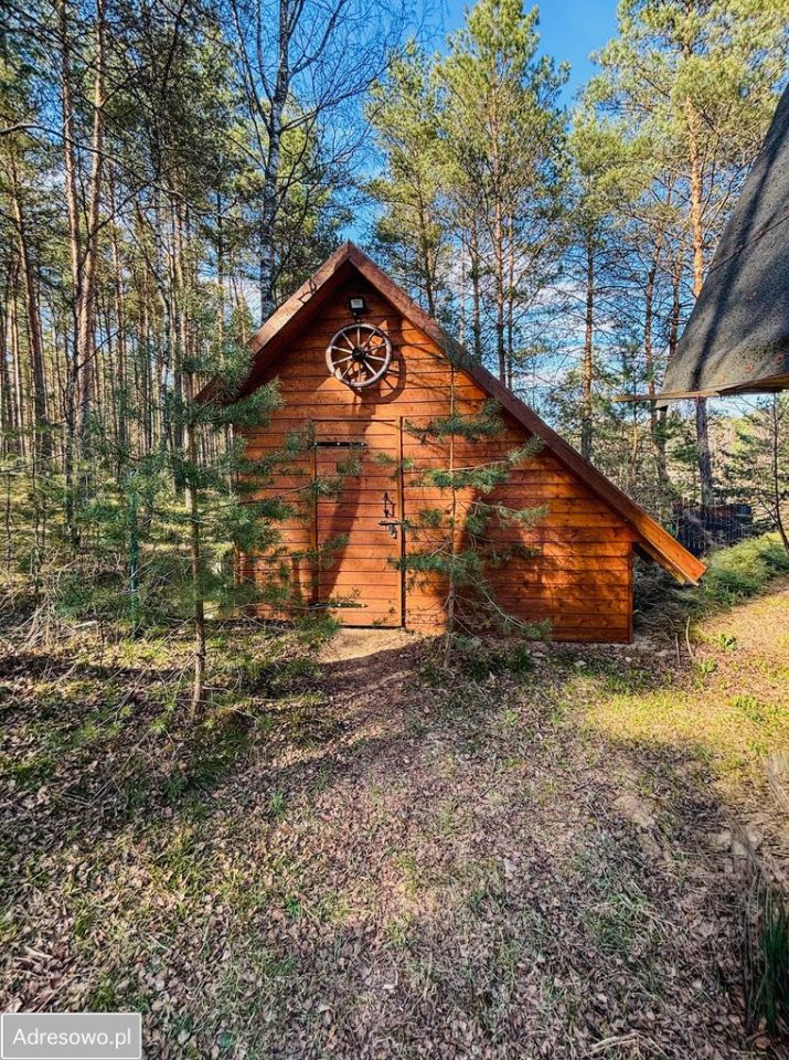 Działka rekreacyjna Stara Kiszewa. Zdjęcie 11