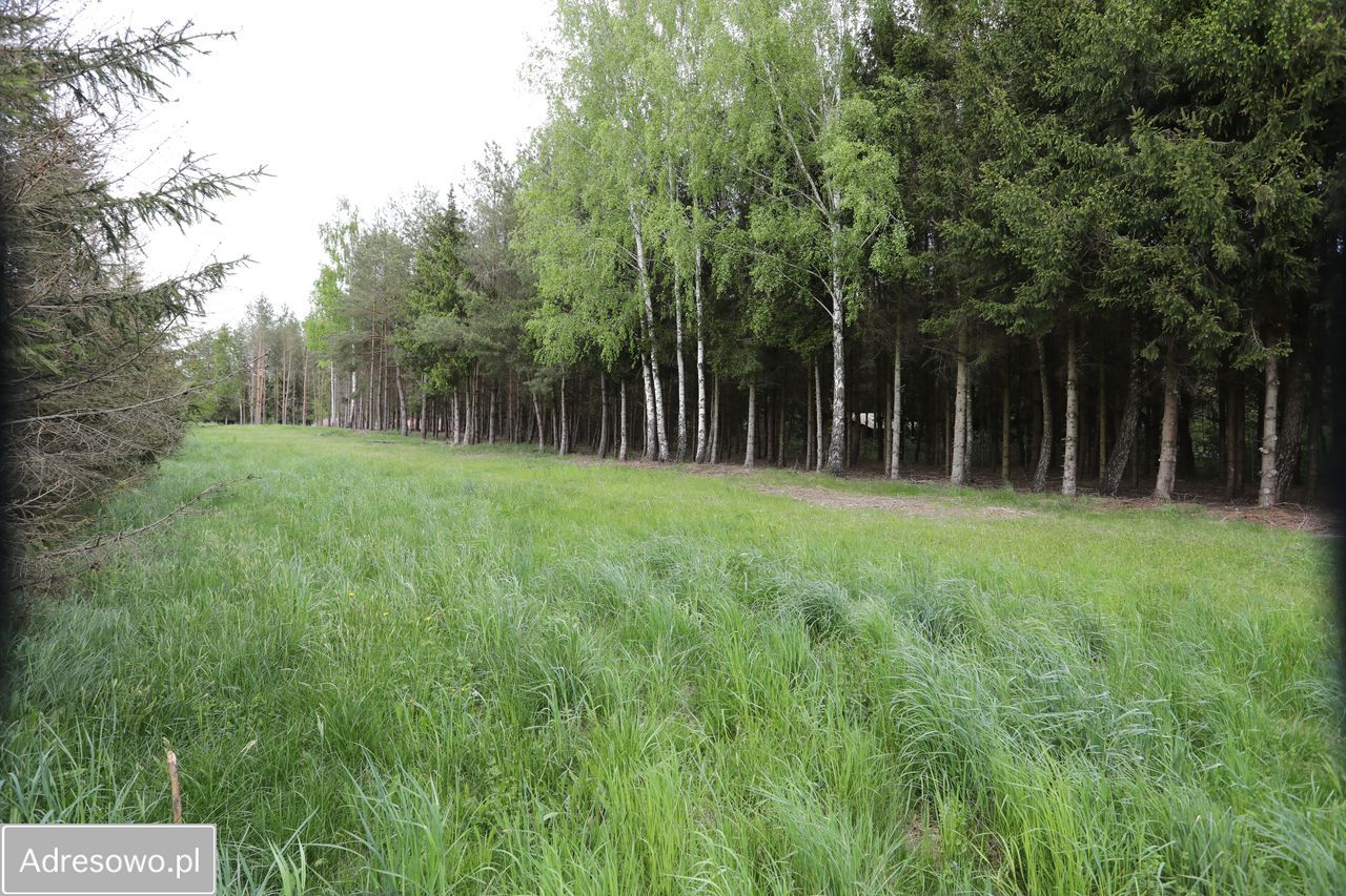 Działka budowlana Ławki. Zdjęcie 11