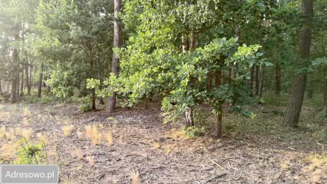 Działka budowlana Warszawa Wawer, ul. Wiązowska. Zdjęcie 10
