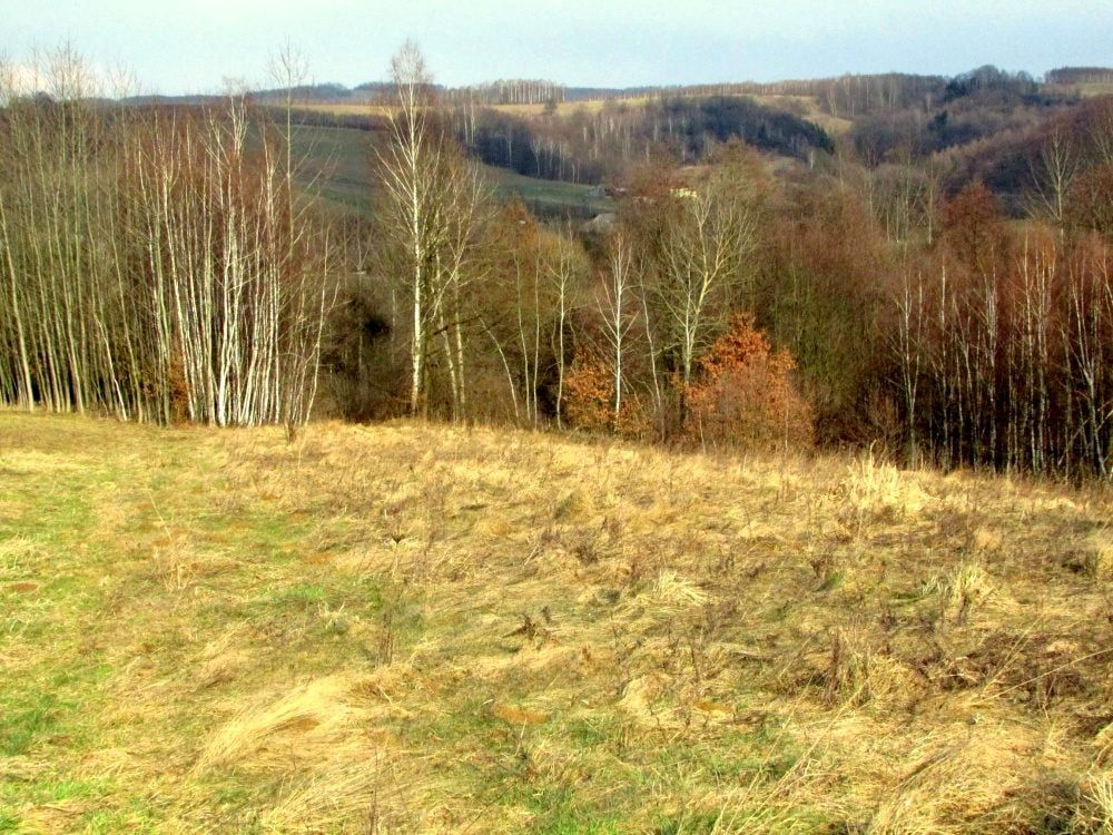 gospodarstwo, 2 pokoje Laskówka. Zdjęcie 7
