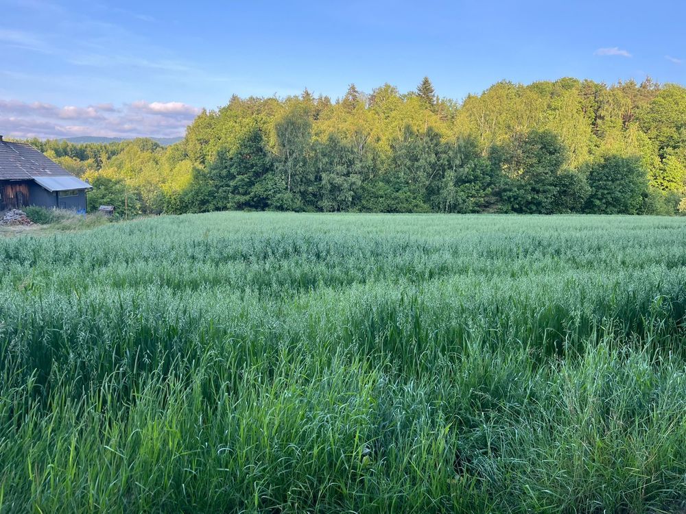 Działka budowlana Siołkowa Zagórze. Zdjęcie 4