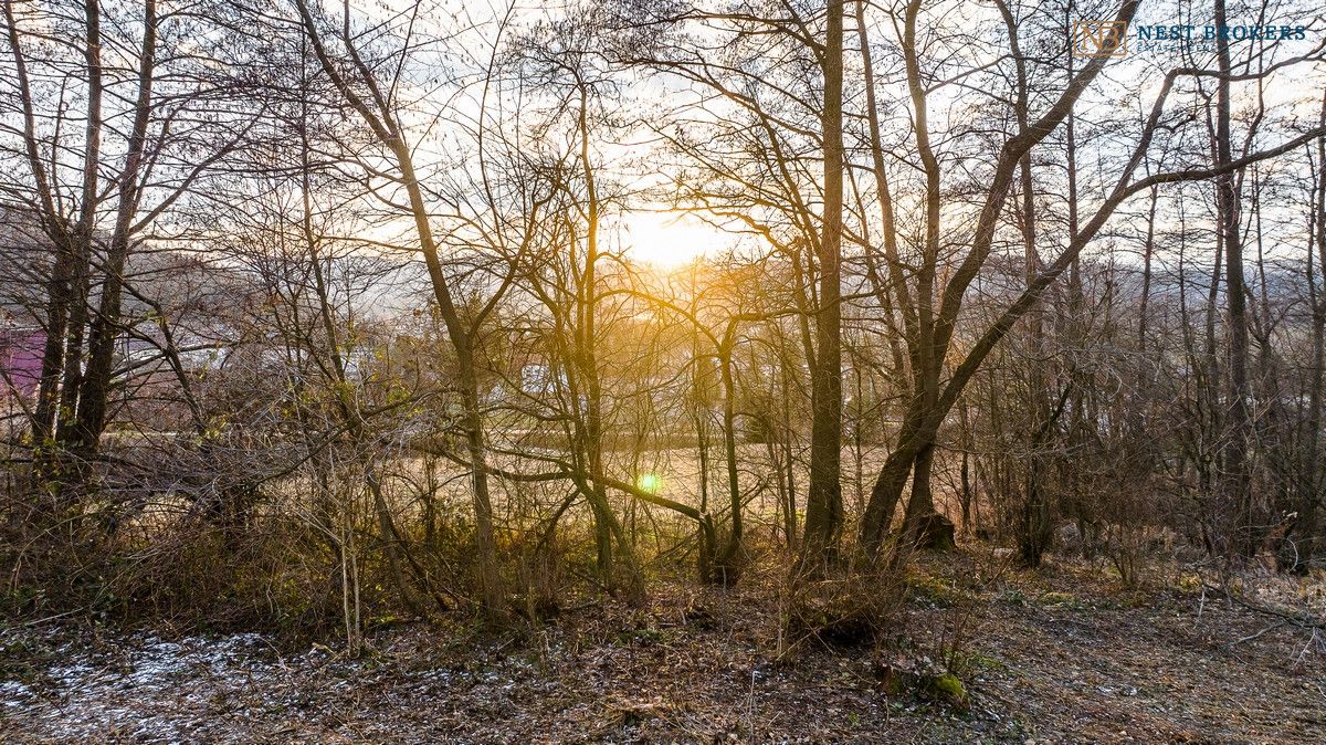 Działka budowlana Roztoka-Brzeziny. Zdjęcie 8