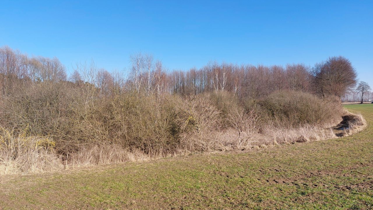 Działka inna Piaski, Lipowa. Zdjęcie 7