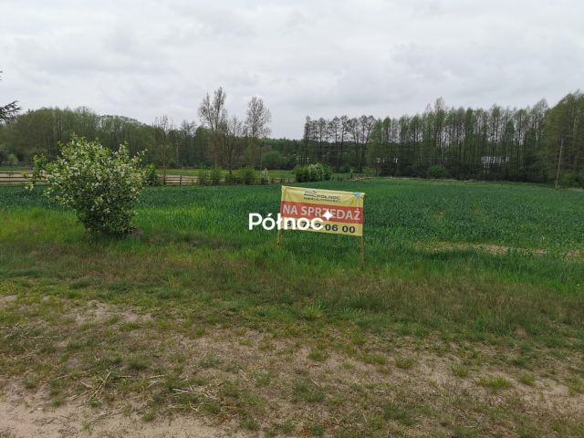 Działka rolna Grabowiec. Zdjęcie 1