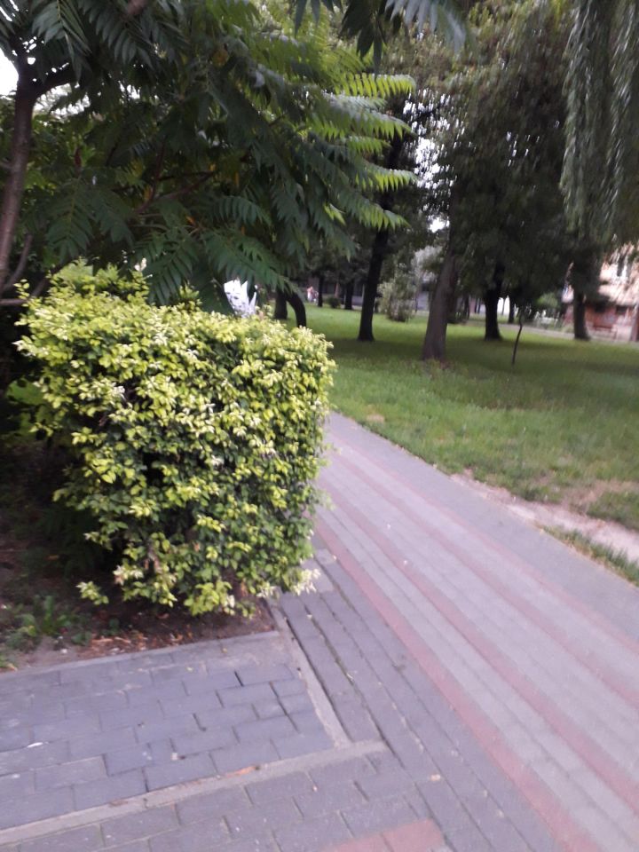 Mieszkanie 2-pokojowe Łuków, os. Bronisława Chącińskiego. Zdjęcie 8