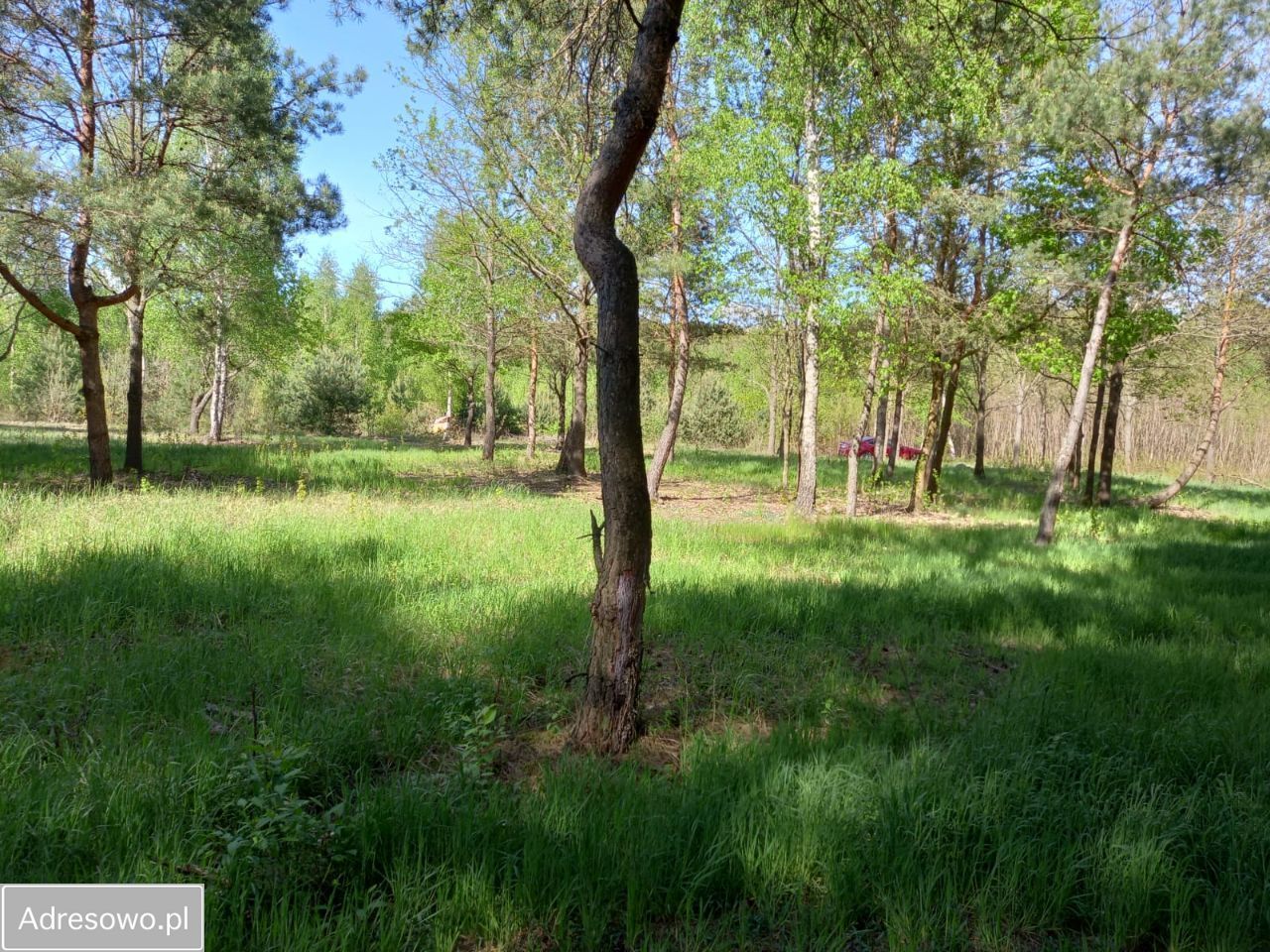 Działka budowlana Kępiaste. Zdjęcie 4
