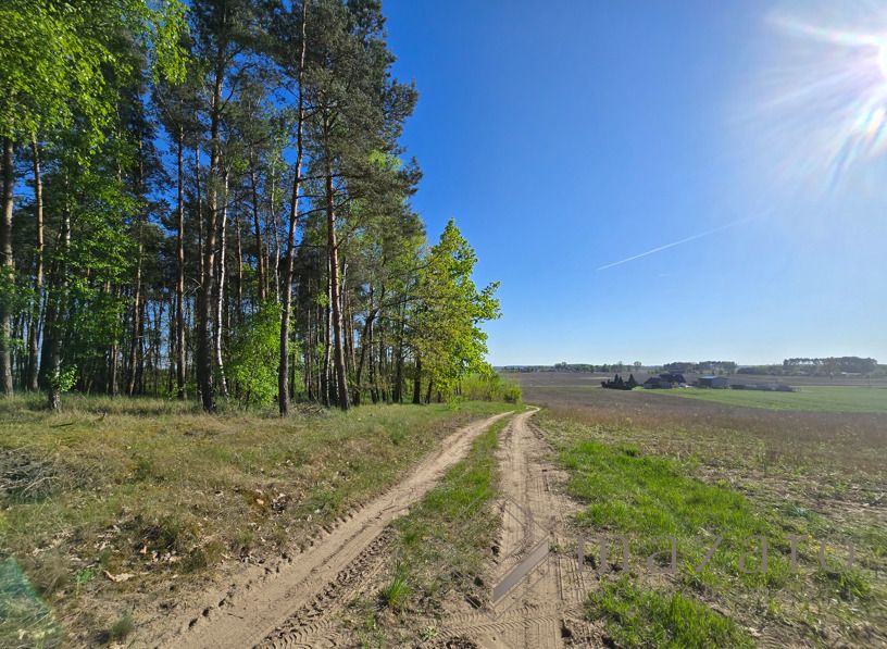 Działka rolna Józefinka. Zdjęcie 4