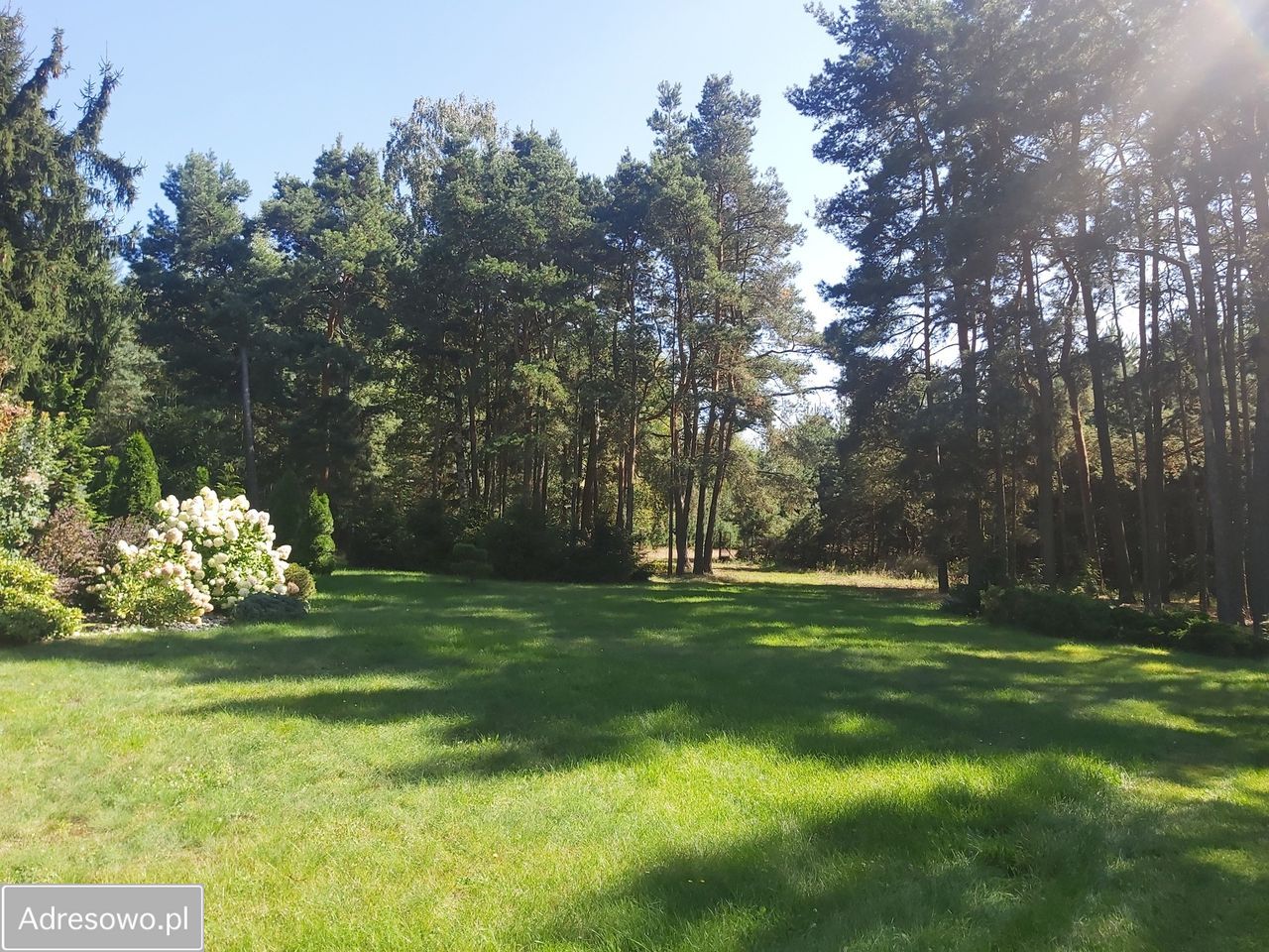 dom wolnostojący, 4 pokoje Biejków. Zdjęcie 12