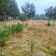 Działka rolna Mstów. Zdjęcie 3