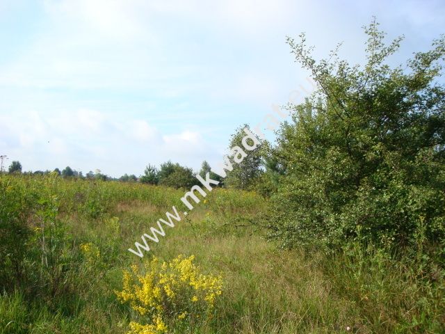 Działka budowlana Czosnów. Zdjęcie 3