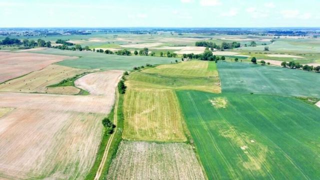 Działka rolna Górkło. Zdjęcie 10