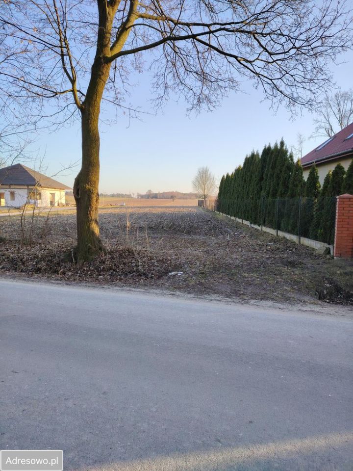 Działka rolno-budowlana Wola Niechcicka Stara. Zdjęcie 6