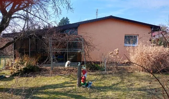 Działka rod Słowik