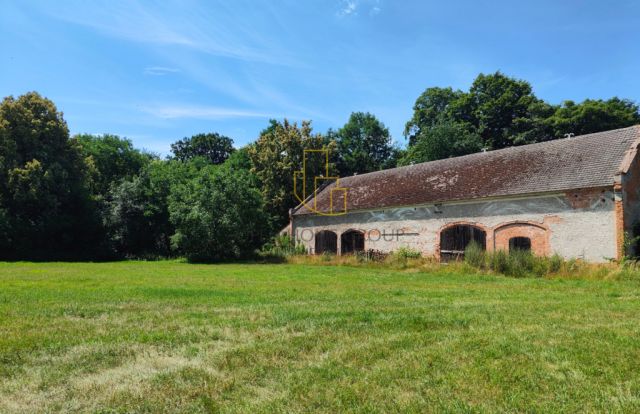 Działka inwestycyjna Wojciechów. Zdjęcie 11