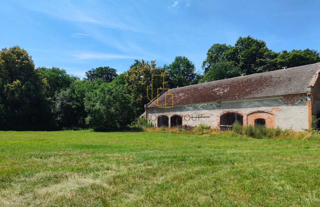 Działka inwestycyjna Wojciechów. Zdjęcie 11