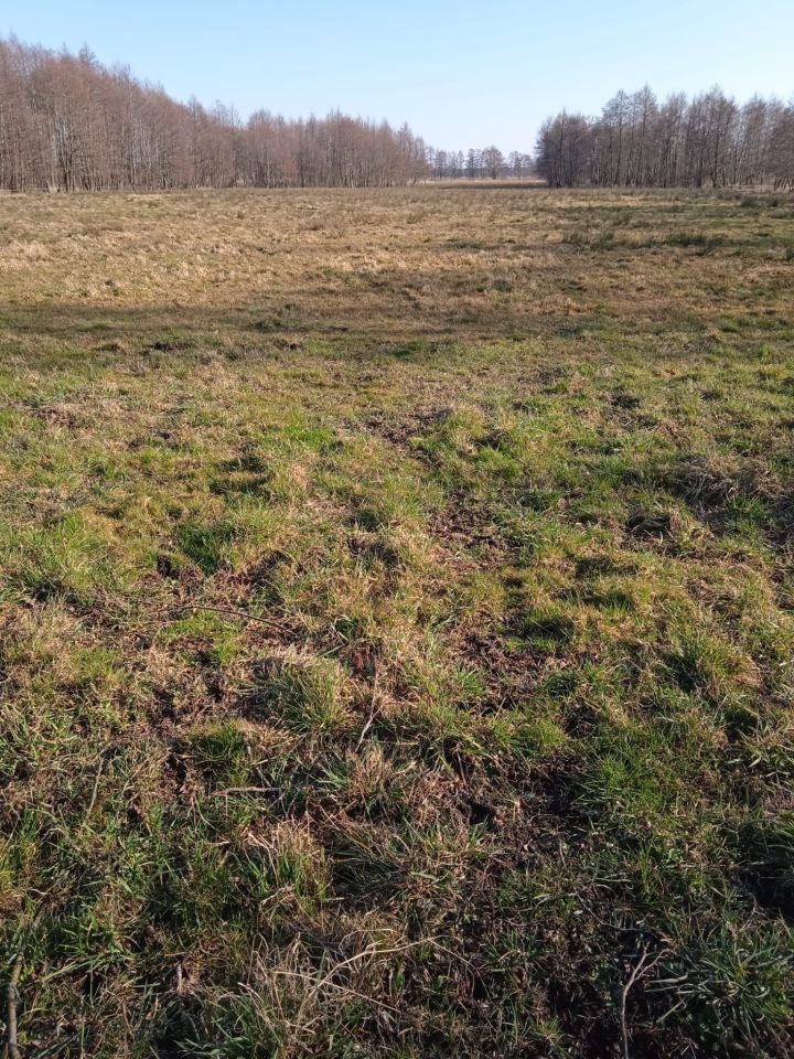 Działka rolna Grabowo. Zdjęcie 2