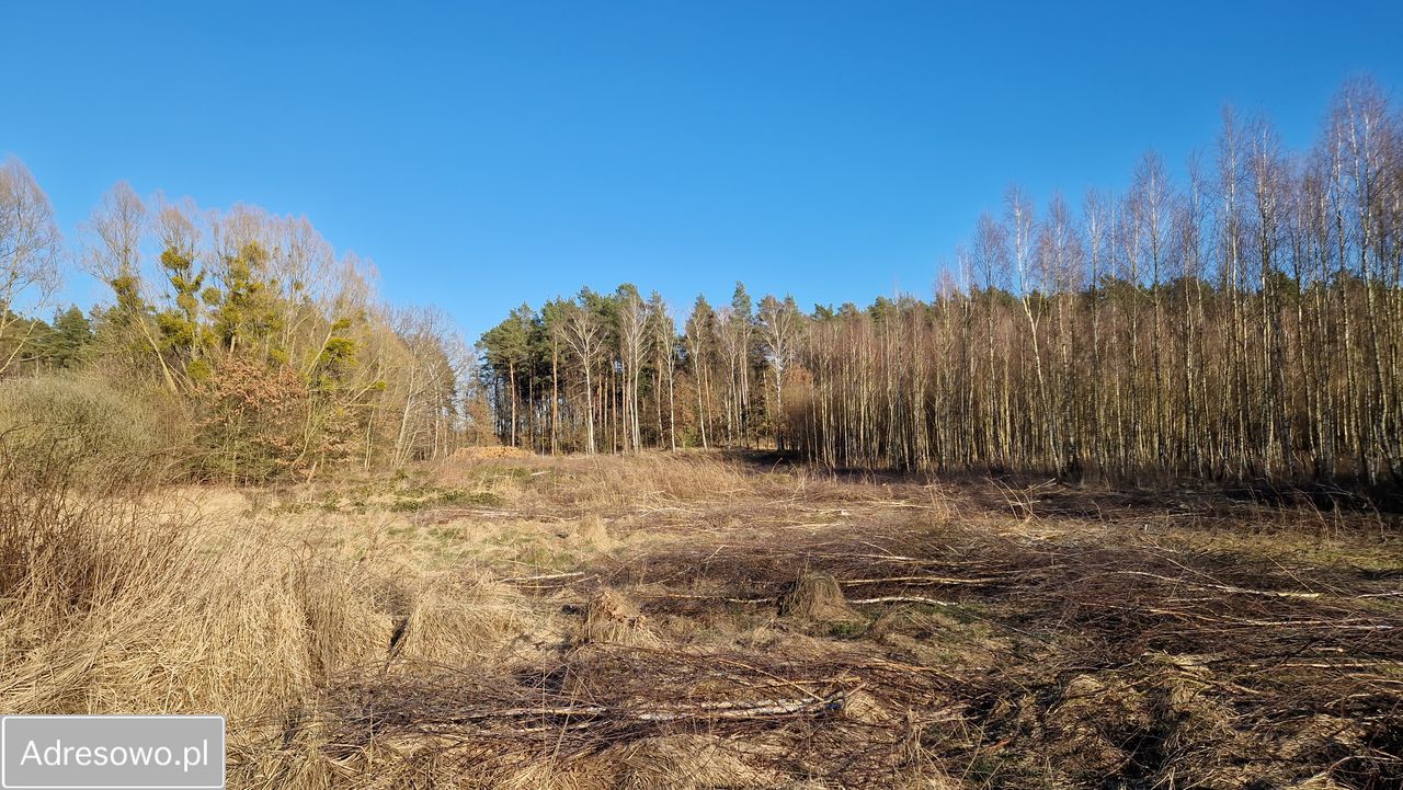 Działka Modrzewo