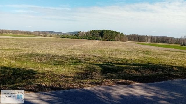 Działka leśna Strawczyn. Zdjęcie 4