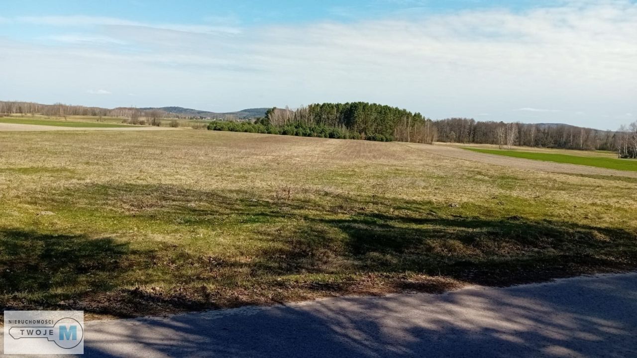 Działka leśna Strawczyn. Zdjęcie 4