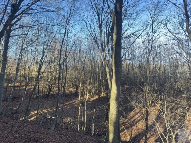 Działka leśna Przemyśl Kruhel Wielki, ul. Łowiecka. Zdjęcie 4