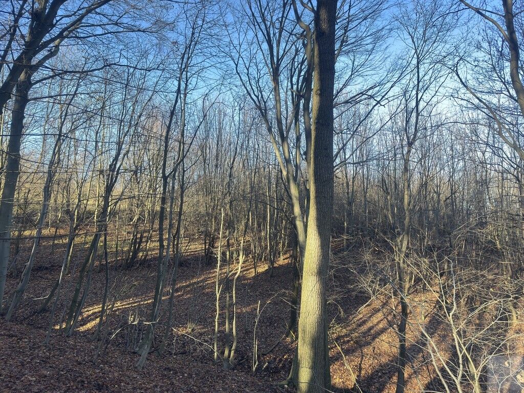 Działka leśna Przemyśl Kruhel Wielki, ul. Łowiecka. Zdjęcie 4