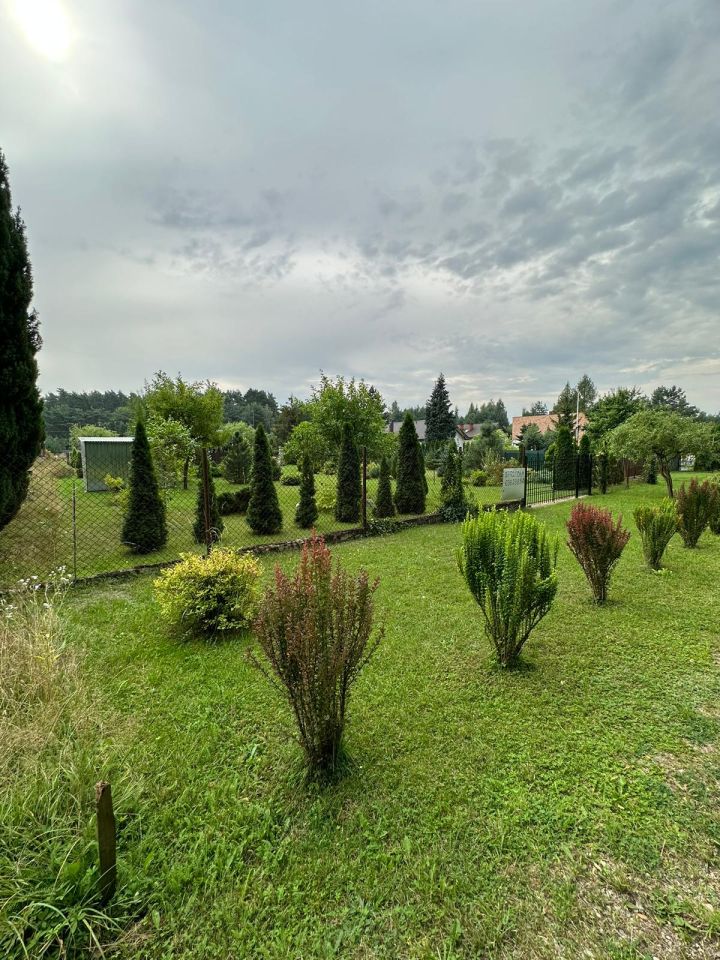 Działka budowlana Świerczyna. Zdjęcie 3