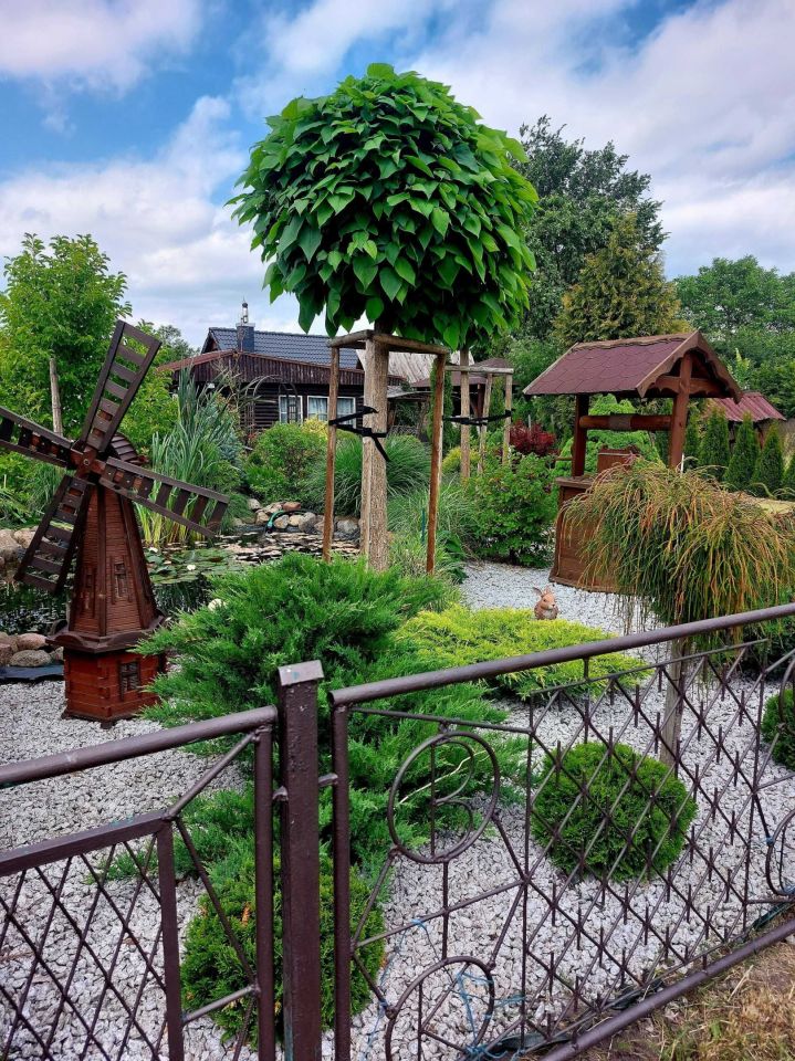 Działka rod Bydgoszcz Biedaszkowo. Zdjęcie 2