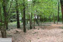 Działka budowlana Podkowa Leśna, ul. Wiewiórek. Zdjęcie 1