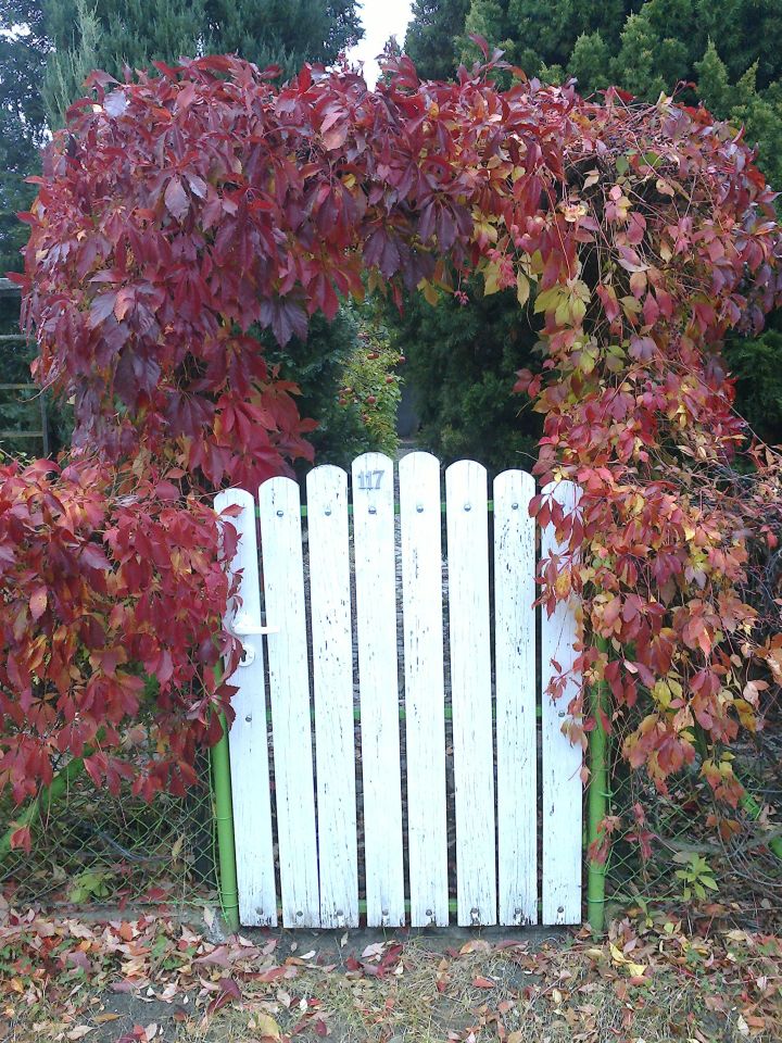 Działka rekreacyjna Poznań Głuszyna, ul. Głuszyna