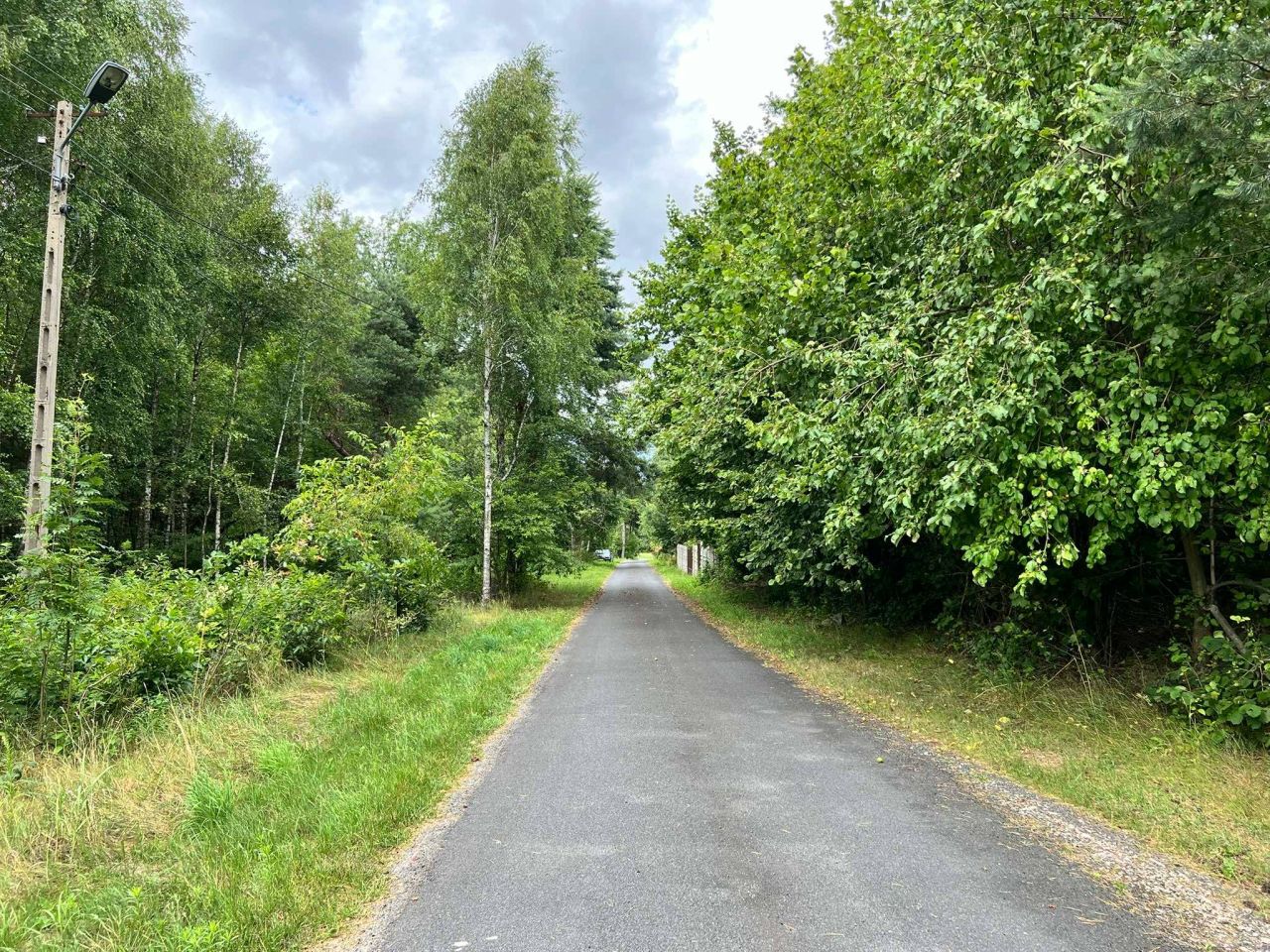 Działka leśna Bukowa. Zdjęcie 7