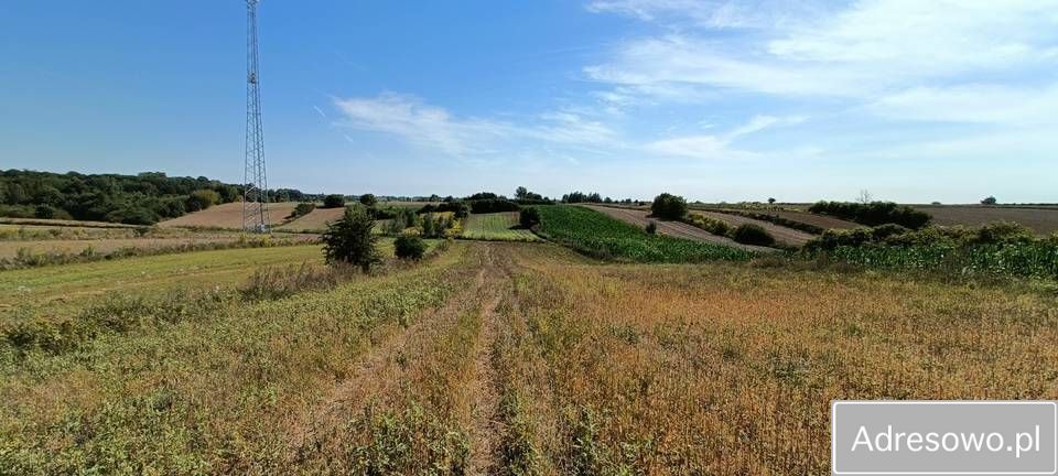 Działka rolna Snopków