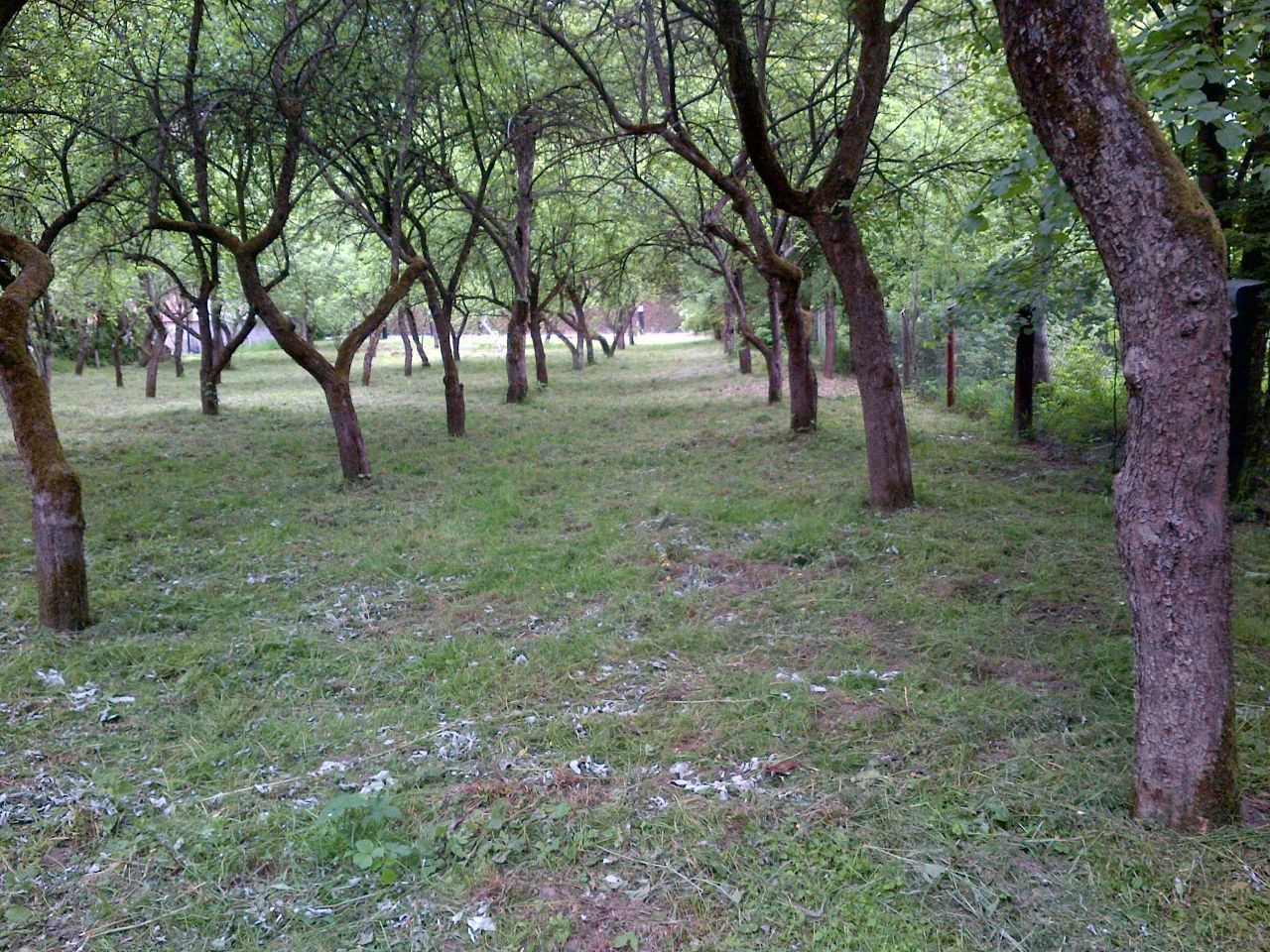 Działka budowlana Sucha Beskidzka Smolikówka, ul. Turystyczna. Zdjęcie 4