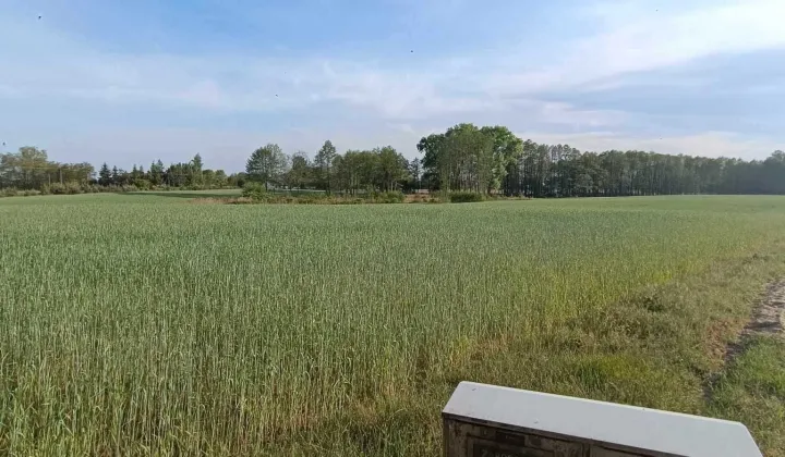 Działka rekreacyjna Kania