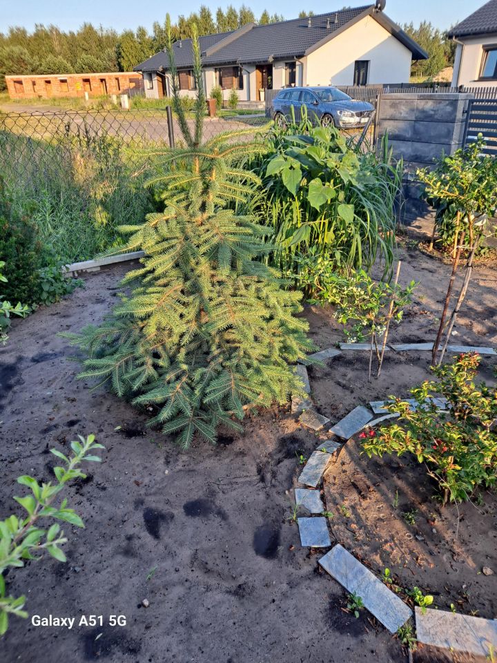 dom wolnostojący, 5 pokoi Aleksandrów Kujawski. Zdjęcie 2