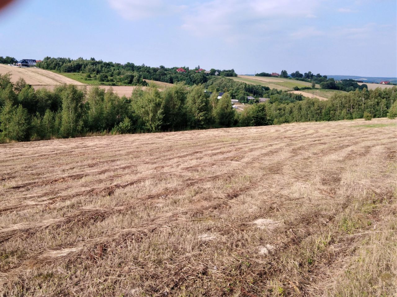 Działka rolno-budowlana Michałowice, ul. Leśna. Zdjęcie 7