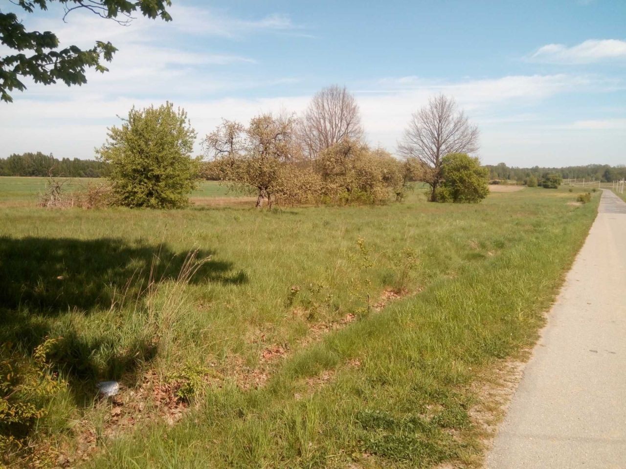 Działka budowlana Pogroszyn. Zdjęcie 4