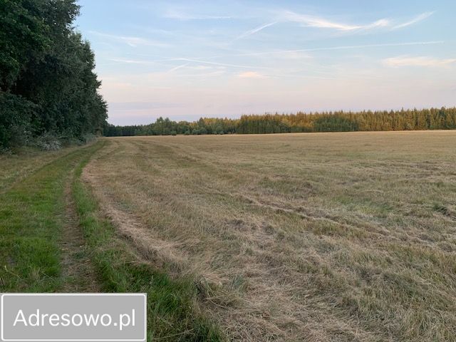Działka rolna Rzystnowo. Zdjęcie 18