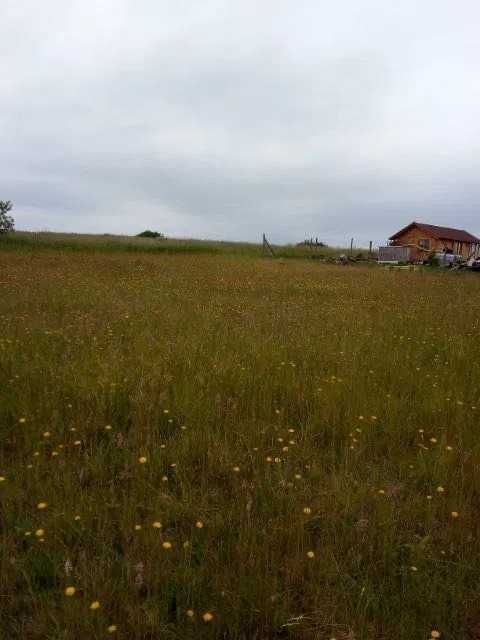 Działka budowlana Steklno. Zdjęcie 3