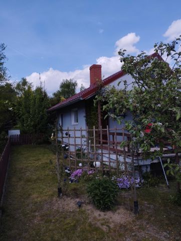 Działka rekreacyjna Chrząstowo. Zdjęcie 1