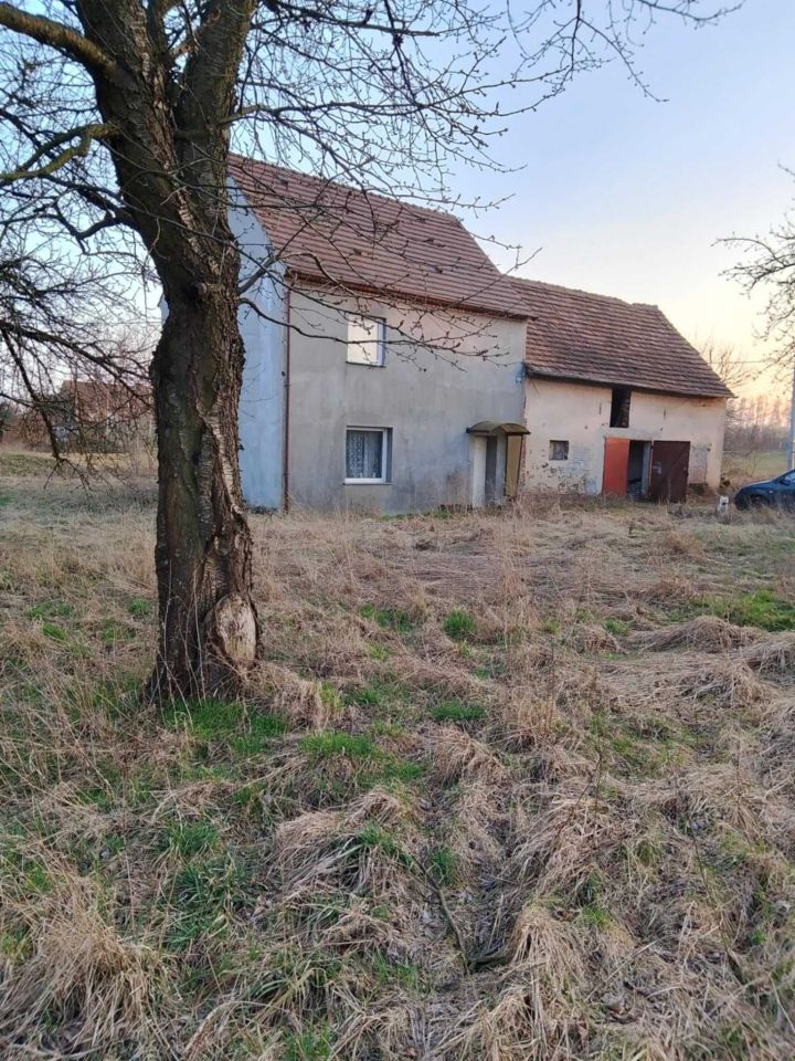 Mieszkanie 2-pokojowe Ocice